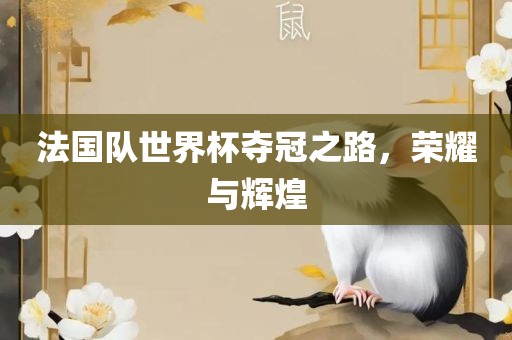 法国队世界杯夺冠之路，荣耀与辉煌