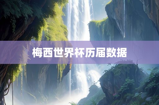 梅西世界杯历届数据