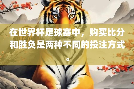 在世界杯足球赛中，购买比分和胜负是两种不同的投注方式。