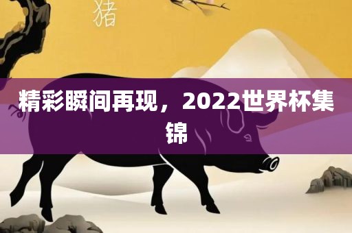 精彩瞬间再现，2022世界杯集锦
