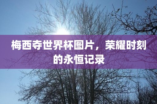 梅西夺世界杯图片，荣耀时刻的永恒记录