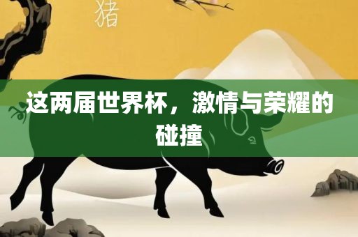 这两届世界杯，激情与荣耀的碰撞漯河市盈旭机械设备有限公司