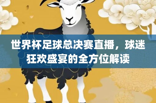 世界杯足球总决赛直播，球迷狂欢盛宴的全方位解读漯河市盈旭机械设备有限公司