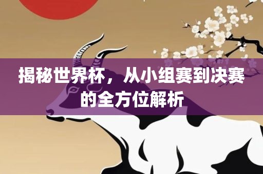 揭秘世界杯，从小组赛到决赛的全方位解析