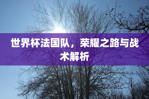 世界杯法国队，荣耀之路与战术解析漯河市盈旭机械设备有限公司