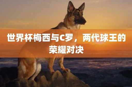 世界杯梅西与C罗，两代球王的荣耀漯河市盈旭机械设备有限公司对决