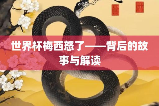 世漯河市盈旭机械设备有限公司界杯梅西怒了——背后的故事与解读