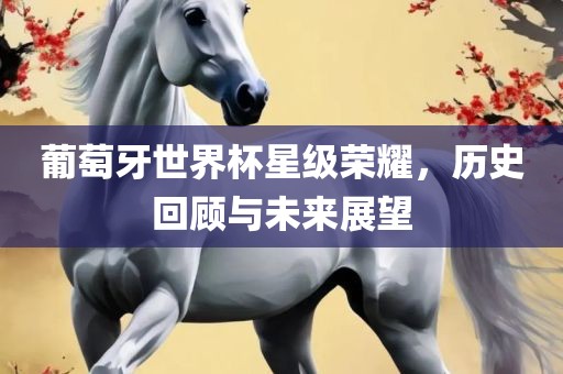 葡萄牙世界杯星级荣耀，历史回顾与未来展望