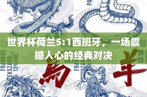 世界杯荷兰5:1西班牙，一场震撼人心的经典对决漯河市盈旭机械设备有限公司