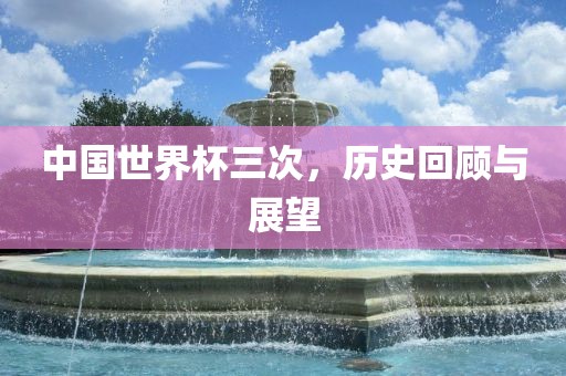 中国世界杯三次，历史回顾与展望漯河市盈旭机械设备有限公司