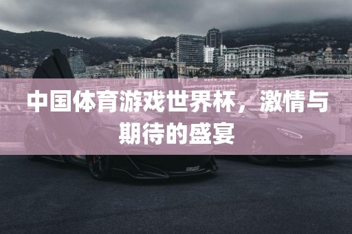 中国体育游戏世界杯，激情与期待的盛宴