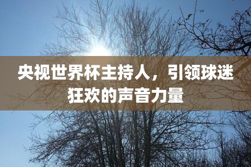 央视漯河市盈旭机械设备有限公司世界杯主持人，引领球迷狂欢的声音力量