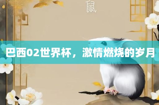 巴西02世界杯，激情燃烧的岁月