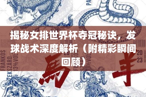 揭秘女排世界杯夺冠秘诀，发球战术深度解析（附精彩瞬间回顾）漯河市盈旭机械设备有限公司