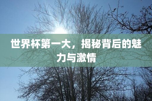 世界杯第一大，揭秘背后的魅力与激情漯河市盈旭机械设备有限公司