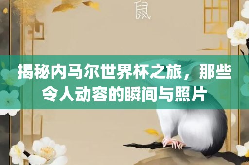 揭秘内马尔世界杯之旅，那些令人动容的瞬间与照片