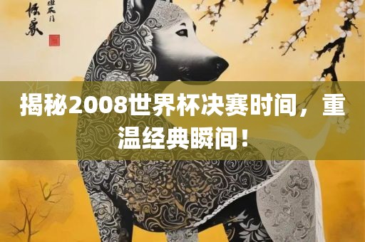 揭秘2008世界杯决赛时间，重温经典瞬间！漯河市盈旭机械设备有限公司