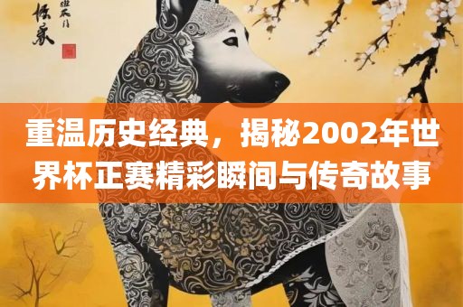 重温历史经典，揭秘2002年世界杯正赛精彩瞬间与传奇故事漯河市盈旭机械设备有限公司