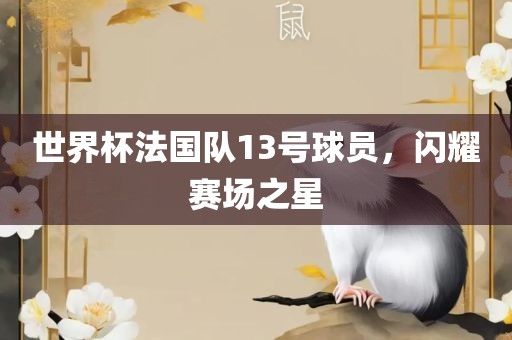 世界杯法国队13号球员，闪耀赛场之星漯河市盈旭机械设备有限公司