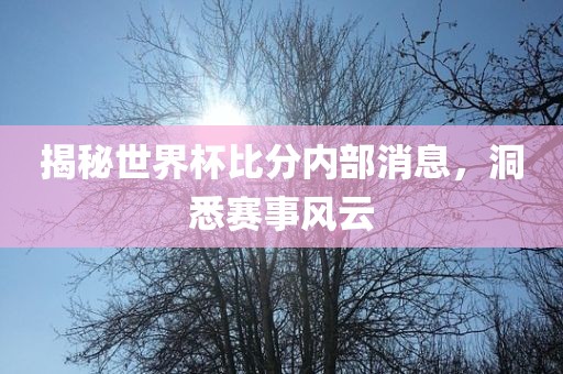 揭秘世界杯比分内部消息，洞悉赛事风云漯河市盈旭机械设备有限公司