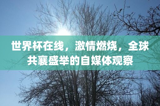 世界杯在线，激情燃烧，全球共襄盛举的自媒体观察