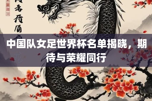 中国队女足世界杯名单揭晓，期待与荣耀同行漯河市盈旭机械设备有限公司