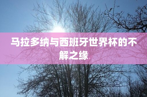 马拉多纳与西班牙世界杯的不解之缘漯河市盈旭机械设备有限公司