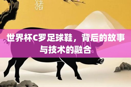 世界杯C罗足球鞋，背后的故事与技术的融合漯河市盈旭机械设备有限公司