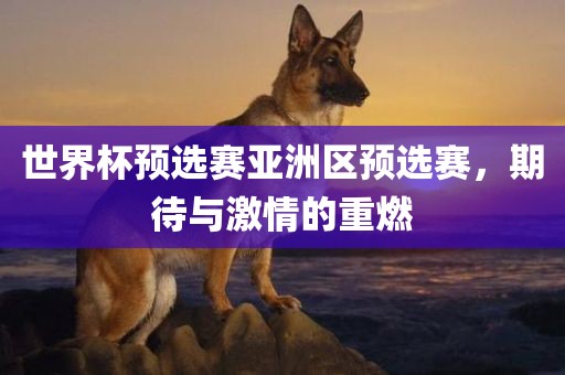 世界杯预选赛亚洲区预选赛，期待与激情的重燃