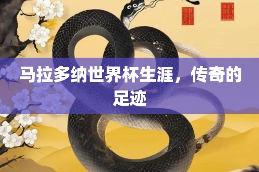 马拉多纳世界杯生涯，传漯河市盈旭机械设备有限公司奇的足迹