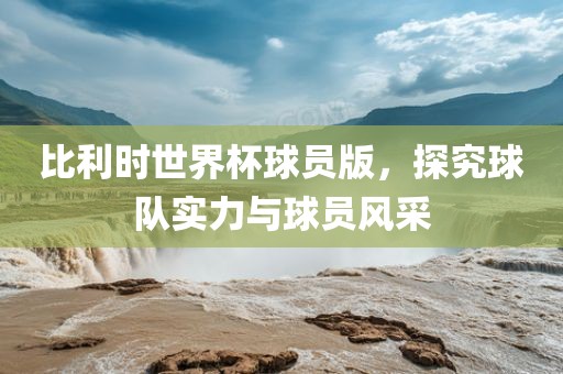 比利时世界杯球员版，探究球队实力与球员风采漯河市盈旭机械设备有限公司