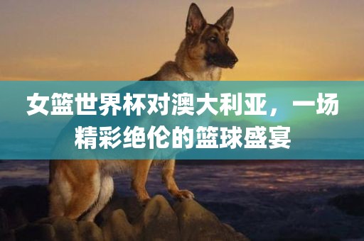 女篮世界杯对澳大利亚，一场精彩绝伦的篮球盛宴漯河市盈旭机械设备有限公司