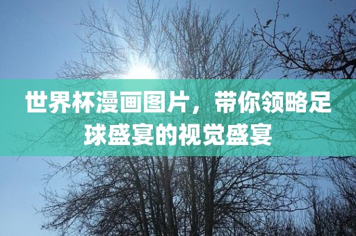 世界杯漫画图片，带你领略足球盛宴的视觉盛宴