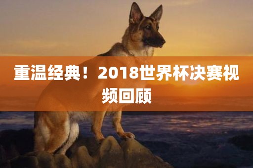 重温经典！2018世界杯决赛视频回顾