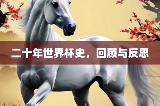 二十年世界杯史，回顾与反思