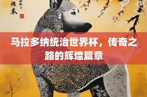 马拉多纳统治世界杯，传奇之路的辉煌篇章