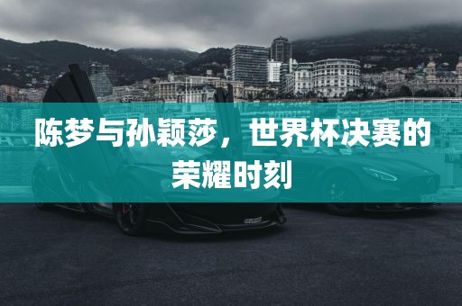 陈梦与孙颖莎，世界杯决赛的荣耀时刻