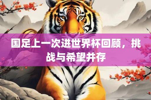 国足上一次进世界杯回顾，挑战与希望并存