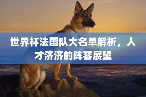 世界杯法国队大名单解析，人才济济的阵容展望