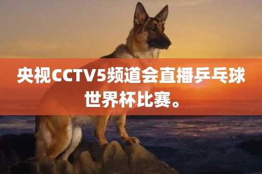 央视CCTV5频道会直播乒乓球世界杯比赛。漯河市盈旭机械设备有限公司