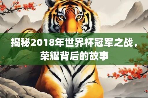 揭秘2018年世界杯冠军之战，荣耀背后的故事漯河市盈旭机械设备有限公司
