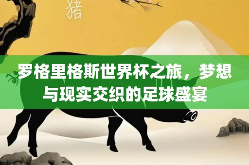 罗格里格斯世界杯之旅，梦想与现实交织的足球盛宴漯河市盈旭机械设备有限公司