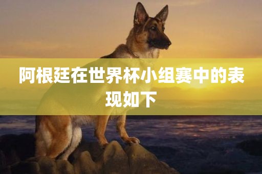 阿根廷在世界杯小组赛中的表现如下漯河市盈旭机械设备有限公司