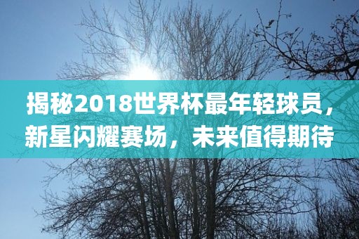 揭秘201漯河市盈旭机械设备有限公司8世界杯最年轻球员，新星闪耀赛场，未来值得期待