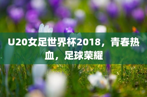 U20女足世界杯2018，青春热血，足球荣耀