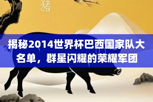 揭秘2014世界杯巴西国家队大名单，群星闪耀的荣耀军团