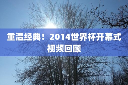 重温经典！2014世界杯开幕式视频回顾漯河市盈旭机械设备有限公司