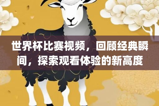 世界杯比赛视频，回顾经典瞬间，探索观看体验的新高度漯河市盈旭机械设备有限公司