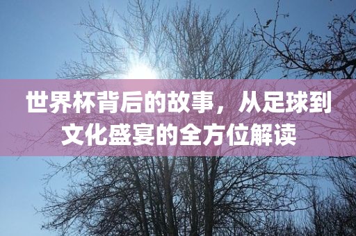 世界杯背后的故事，从足球到文化盛宴的全方位解读漯河市盈旭机械设备有限公司