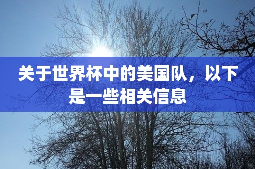 关于世界杯中的美国队，以下是一些相关信息